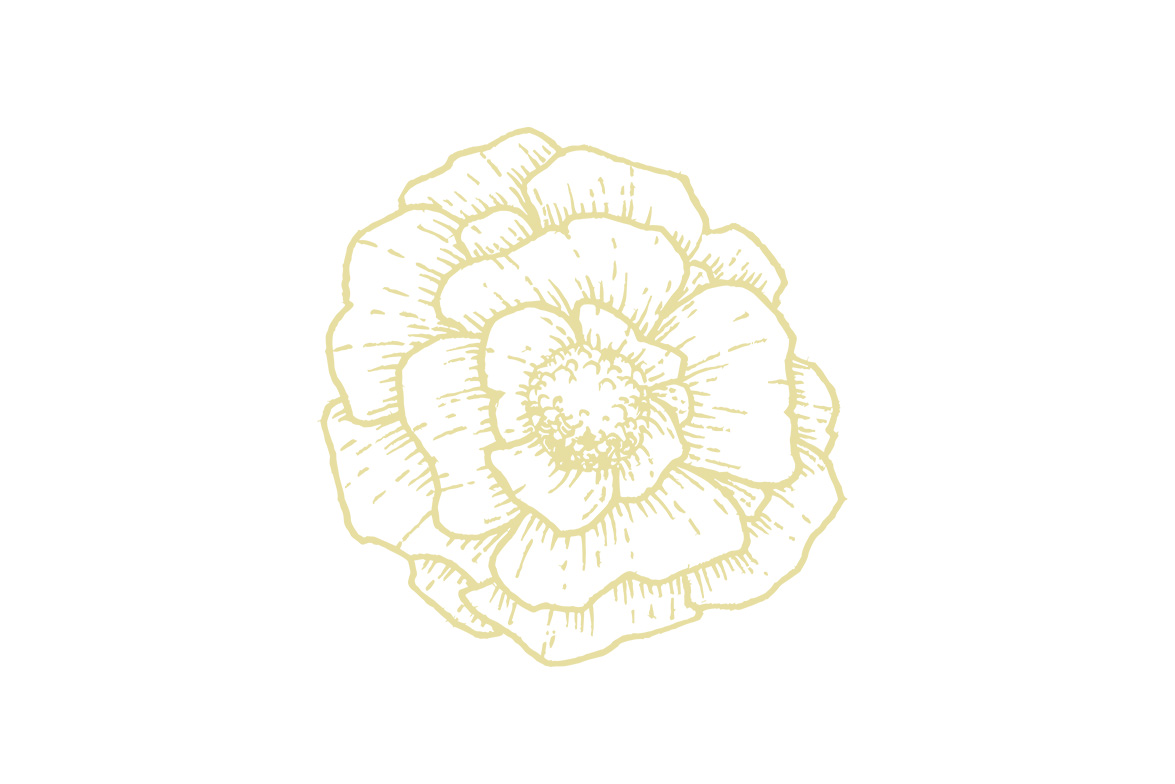 Logo Valérie Teppe photographe
